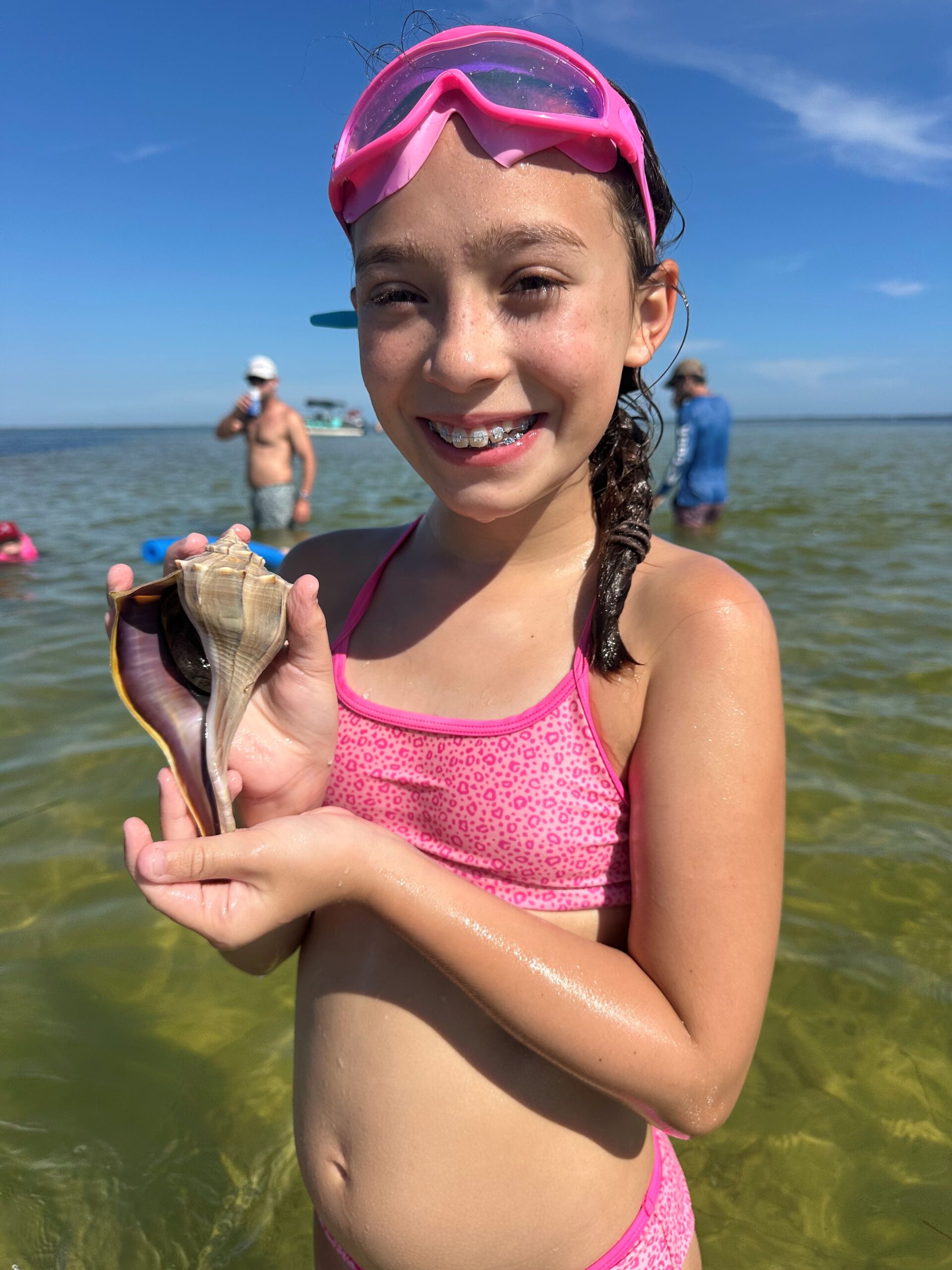 Conchs!